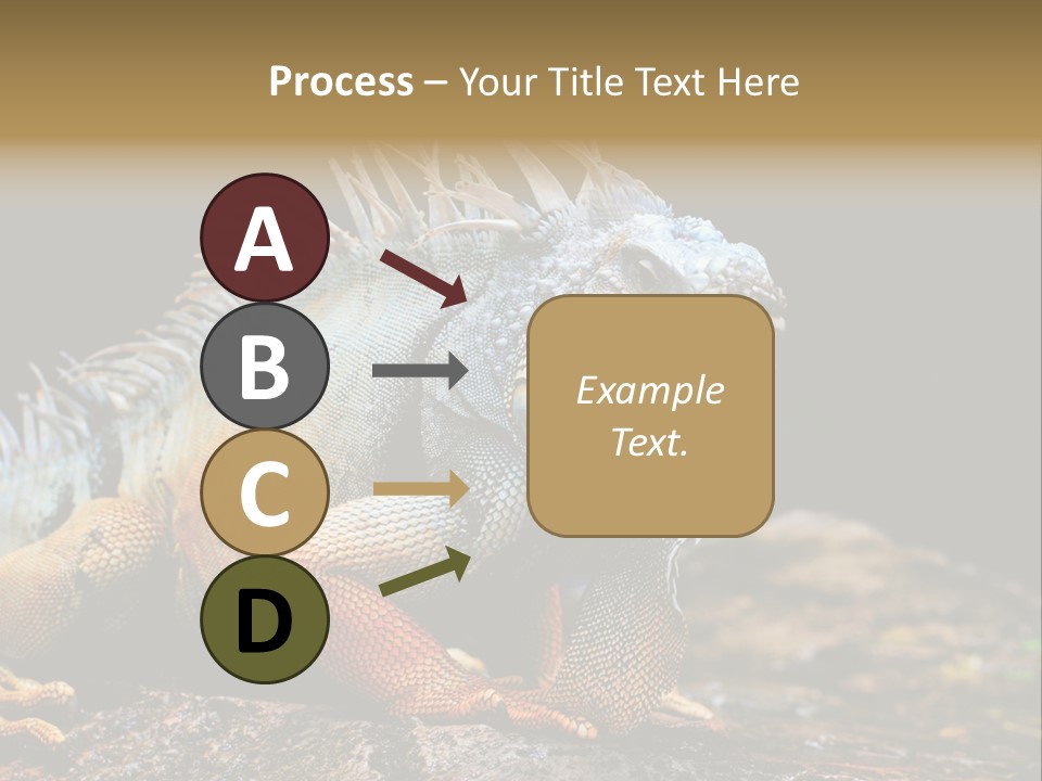 An Iguana Is Sitting On A Rock In The Sun PowerPoint Template