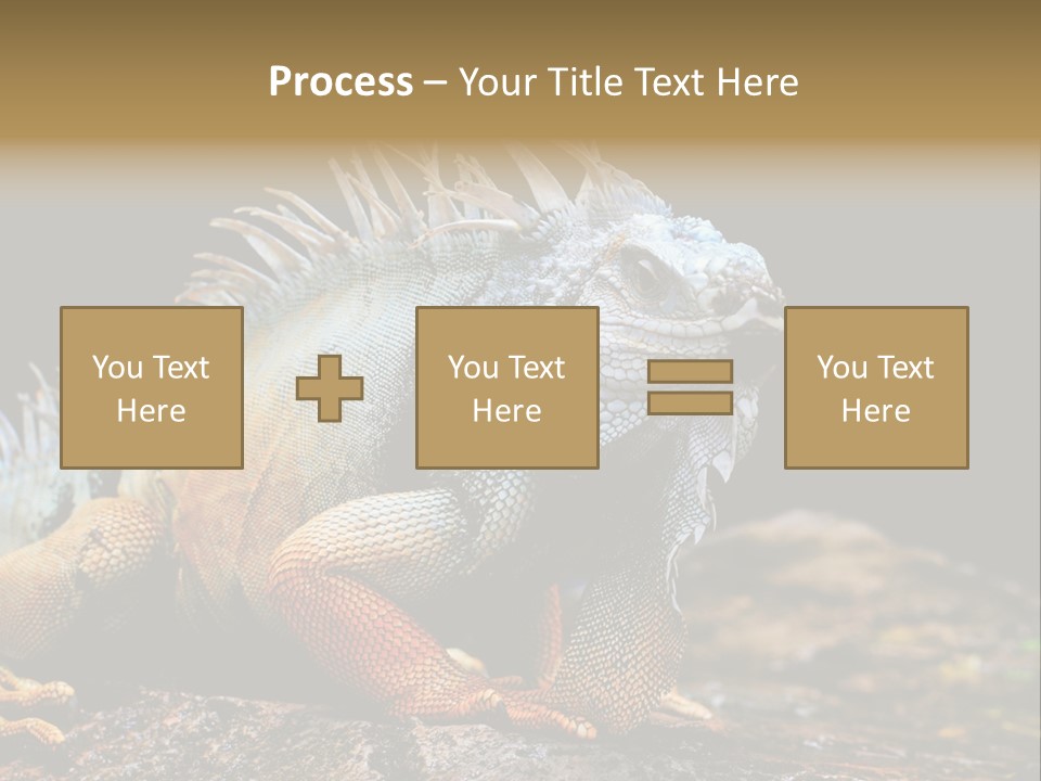 An Iguana Is Sitting On A Rock In The Sun PowerPoint Template