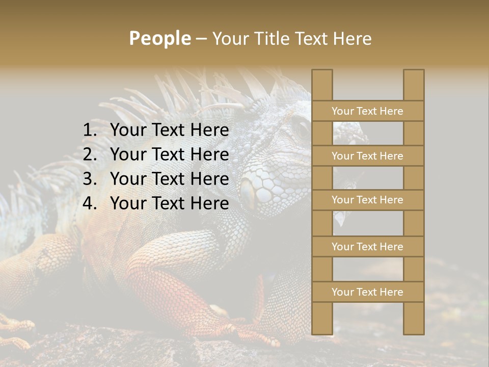 An Iguana Is Sitting On A Rock In The Sun PowerPoint Template