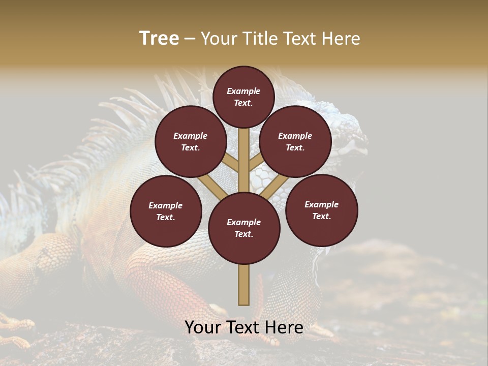 An Iguana Is Sitting On A Rock In The Sun PowerPoint Template