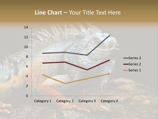 An Iguana Is Sitting On A Rock In The Sun PowerPoint Template