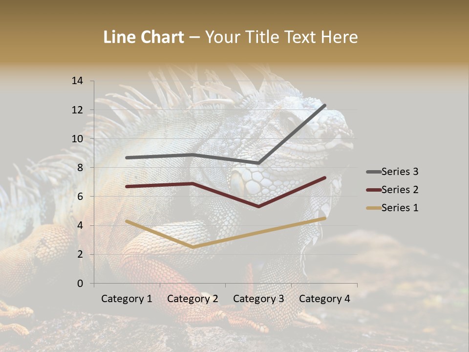An Iguana Is Sitting On A Rock In The Sun PowerPoint Template