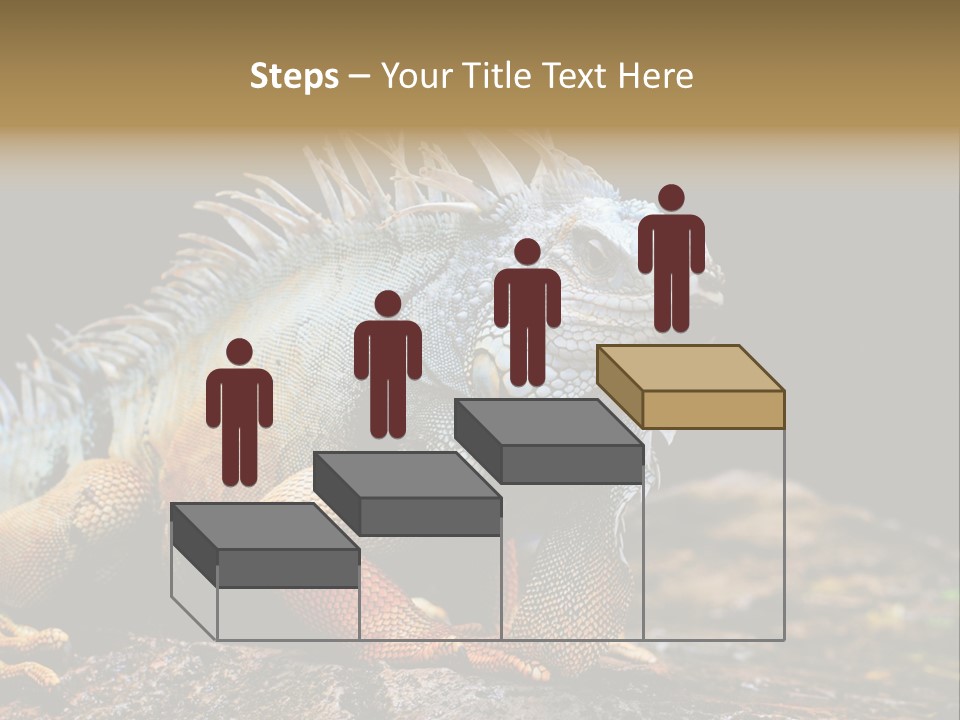An Iguana Is Sitting On A Rock In The Sun PowerPoint Template