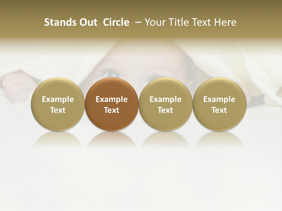 Pig Invest Financial PowerPoint Template