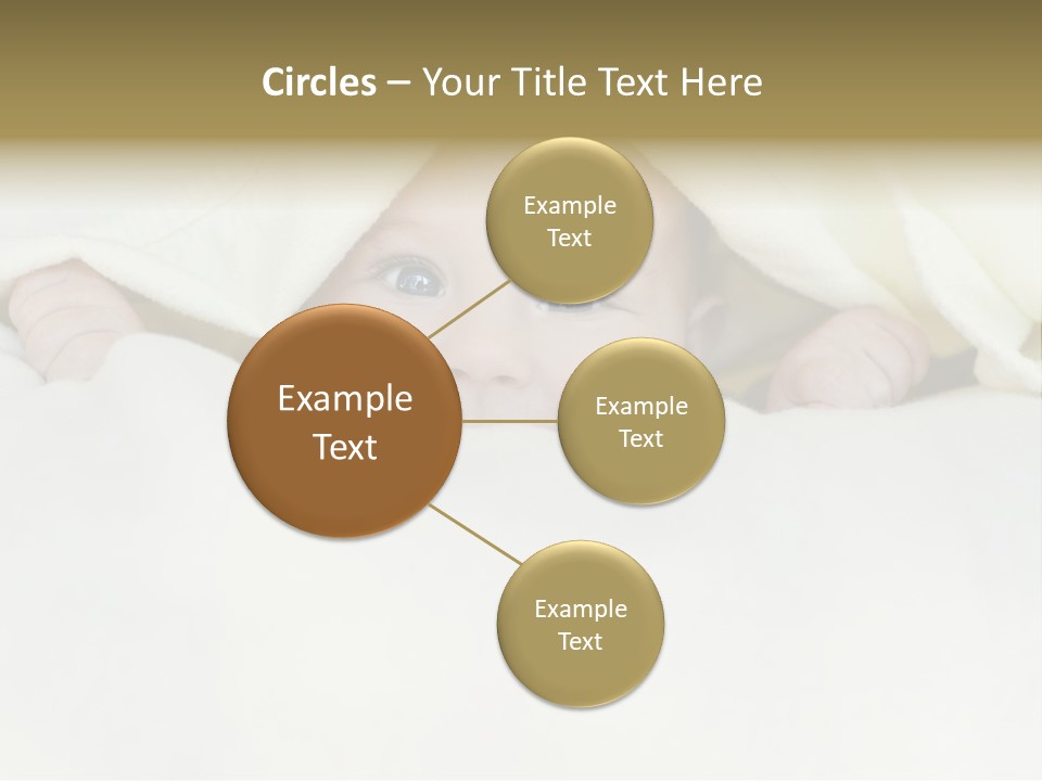 Pig Invest Financial PowerPoint Template