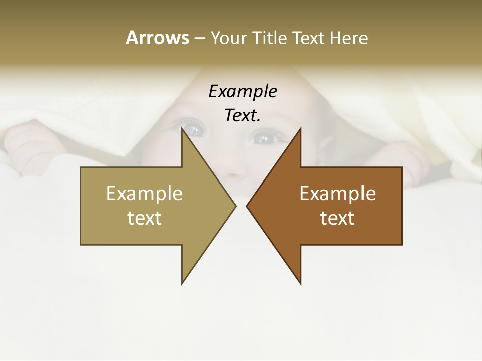Pig Invest Financial PowerPoint Template
