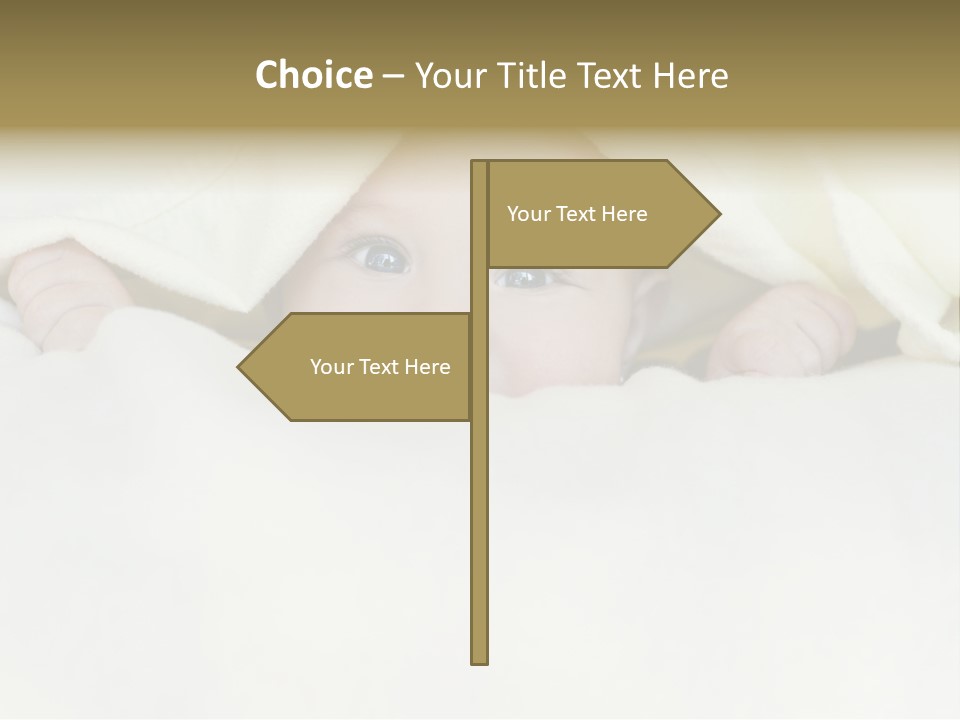 Pig Invest Financial PowerPoint Template