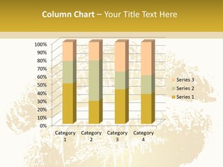 Surface Illustration Fetishes PowerPoint Template