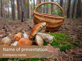 Rural Forest Mushroom PowerPoint Template