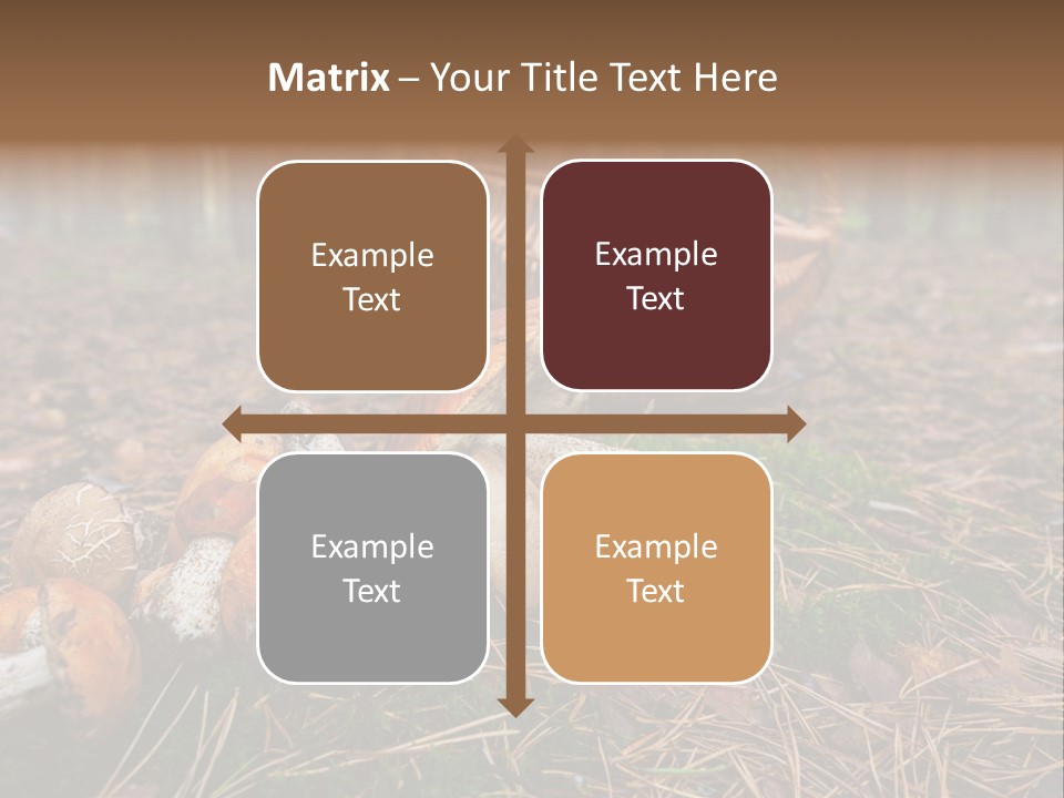 Rural Forest Mushroom PowerPoint Template