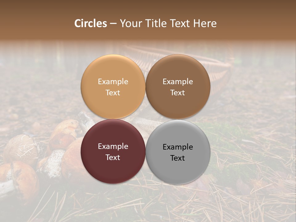 Rural Forest Mushroom PowerPoint Template