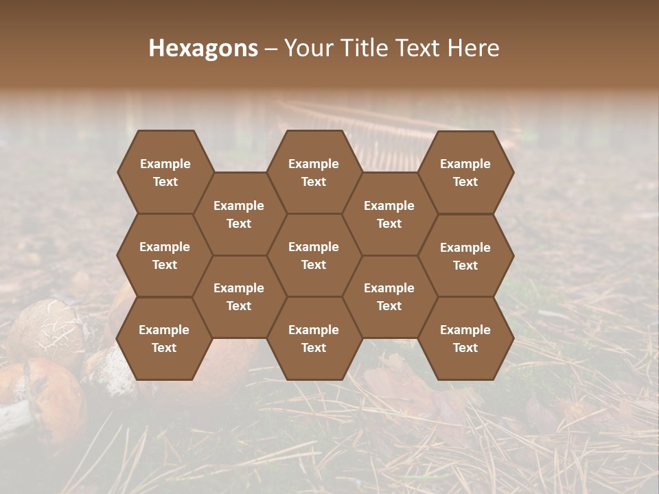 Rural Forest Mushroom PowerPoint Template