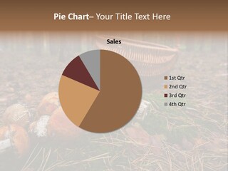 Rural Forest Mushroom PowerPoint Template