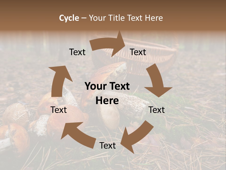 Rural Forest Mushroom PowerPoint Template