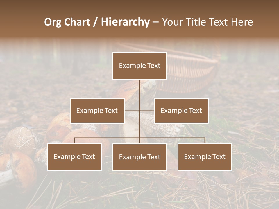 Rural Forest Mushroom PowerPoint Template