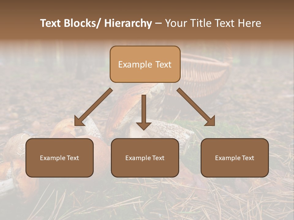 Rural Forest Mushroom PowerPoint Template
