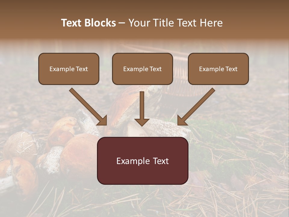 Rural Forest Mushroom PowerPoint Template