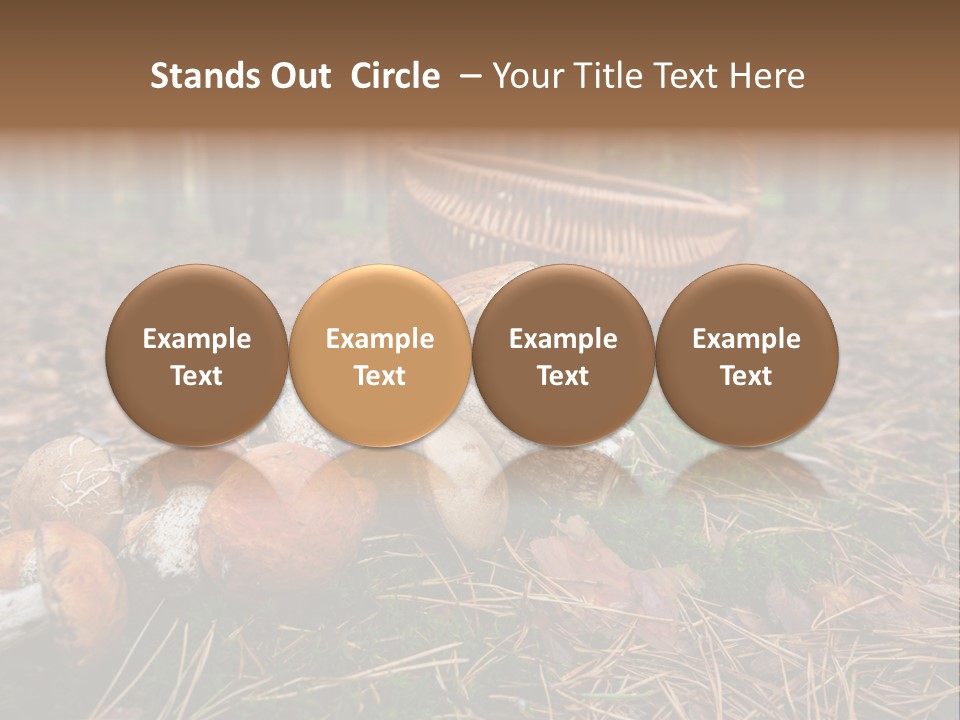 Rural Forest Mushroom PowerPoint Template
