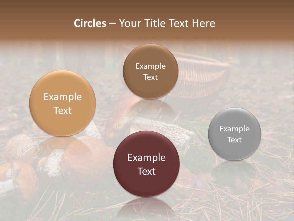 Rural Forest Mushroom PowerPoint Template