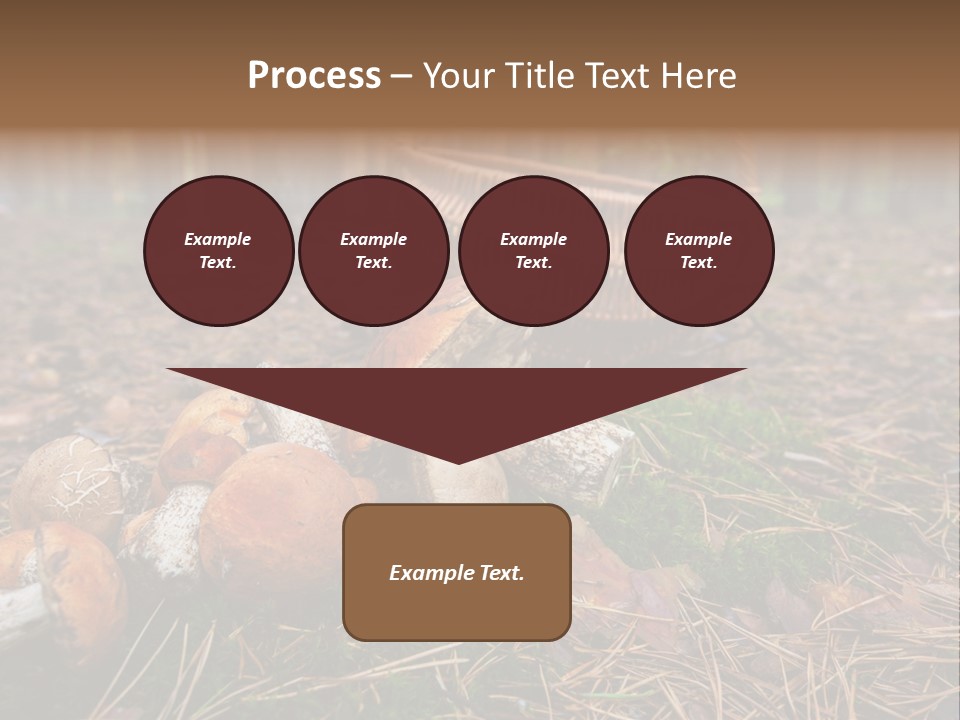 Rural Forest Mushroom PowerPoint Template