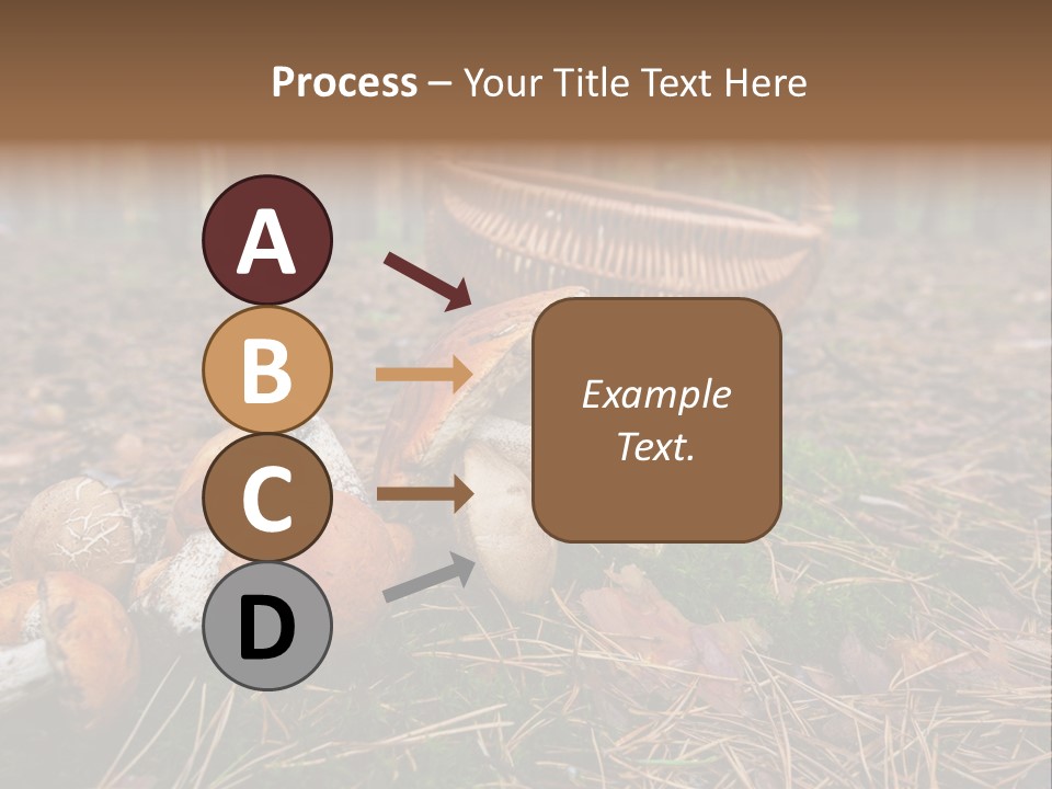Rural Forest Mushroom PowerPoint Template
