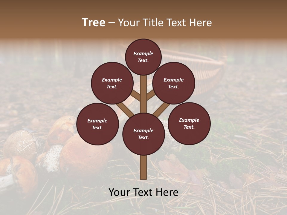 Rural Forest Mushroom PowerPoint Template