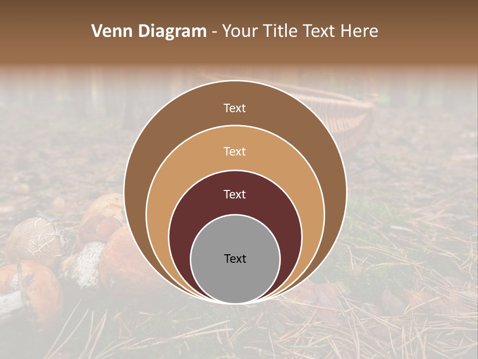 Rural Forest Mushroom PowerPoint Template
