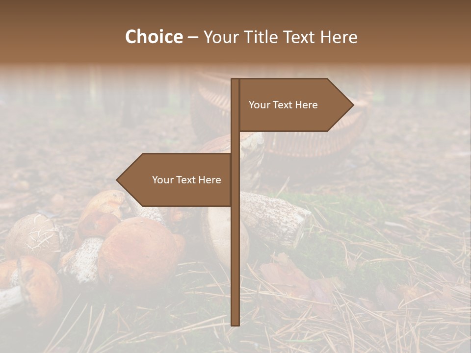 Rural Forest Mushroom PowerPoint Template