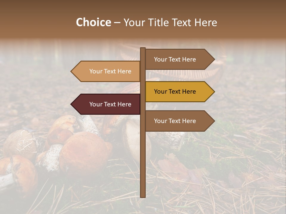 Rural Forest Mushroom PowerPoint Template