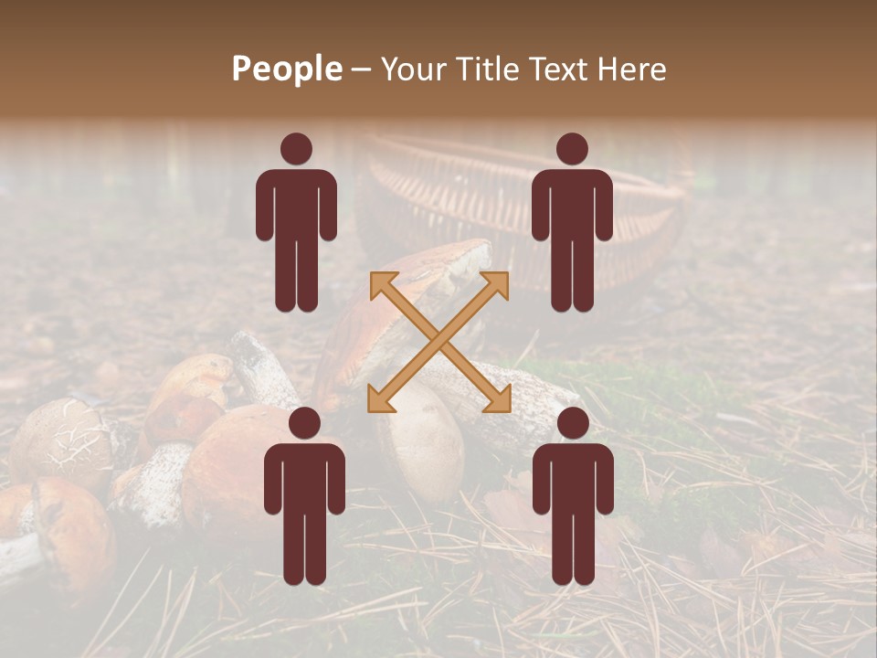 Rural Forest Mushroom PowerPoint Template