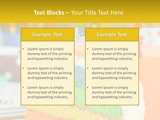 Five Orange Slice PowerPoint Template