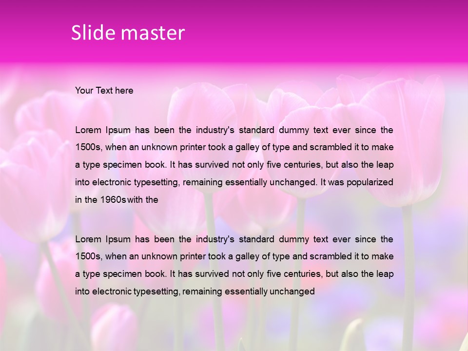 Calla Decoration Flora PowerPoint Template