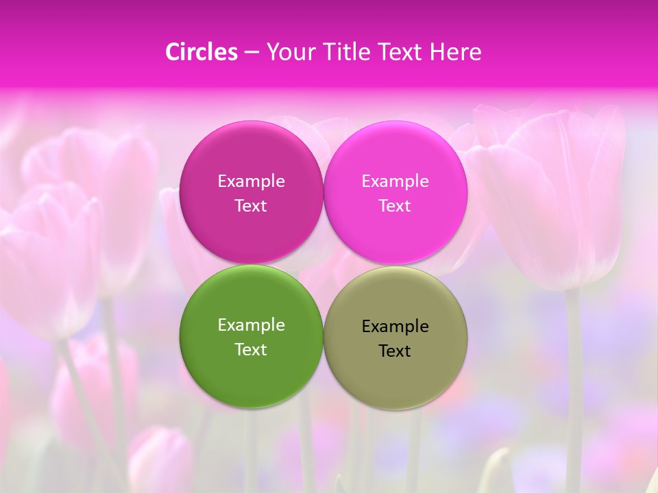 Calla Decoration Flora PowerPoint Template