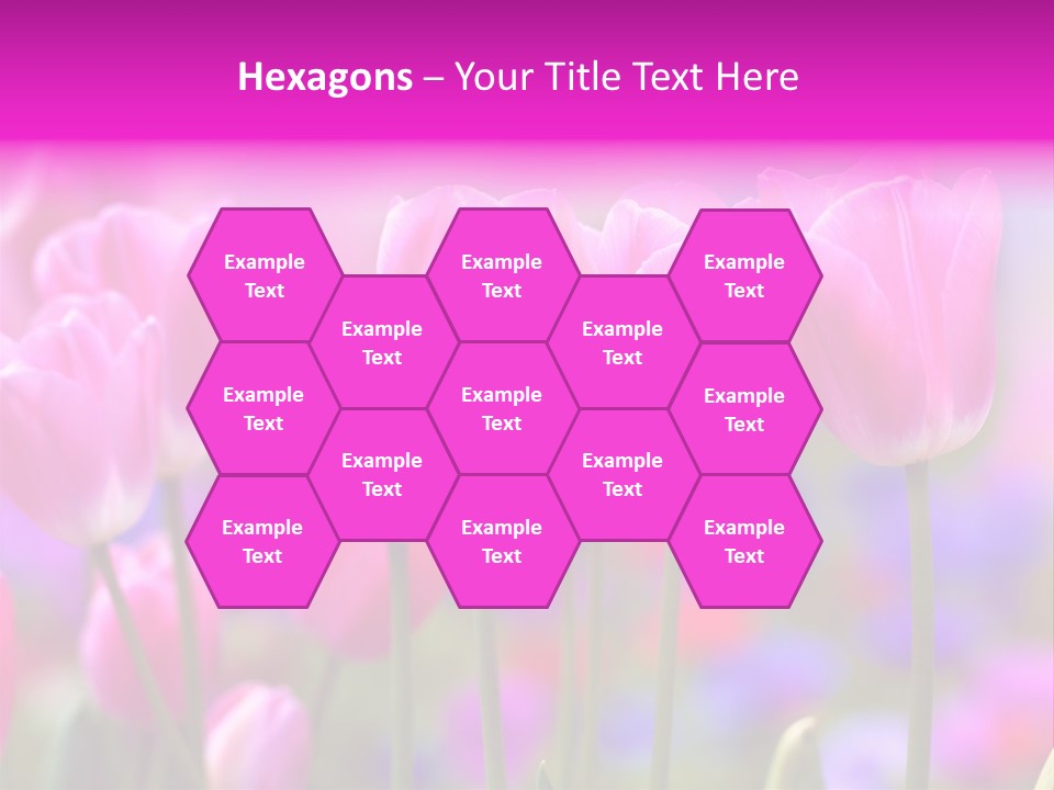 Calla Decoration Flora PowerPoint Template