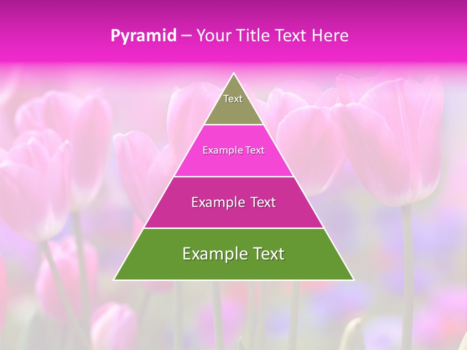 Calla Decoration Flora PowerPoint Template