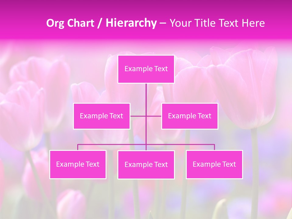 Calla Decoration Flora PowerPoint Template