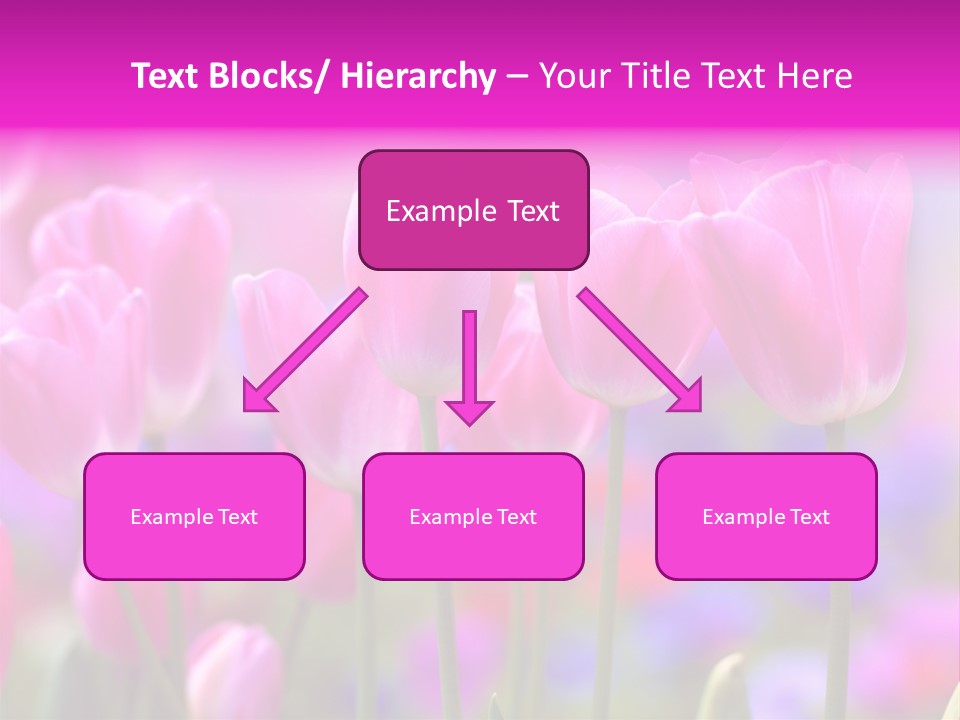 Calla Decoration Flora PowerPoint Template