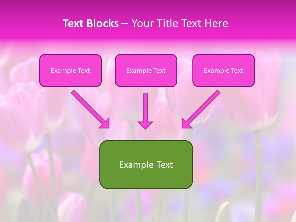 Calla Decoration Flora PowerPoint Template