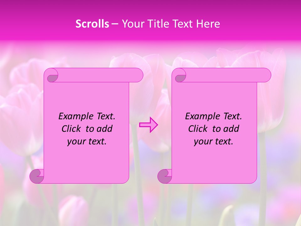 Calla Decoration Flora PowerPoint Template