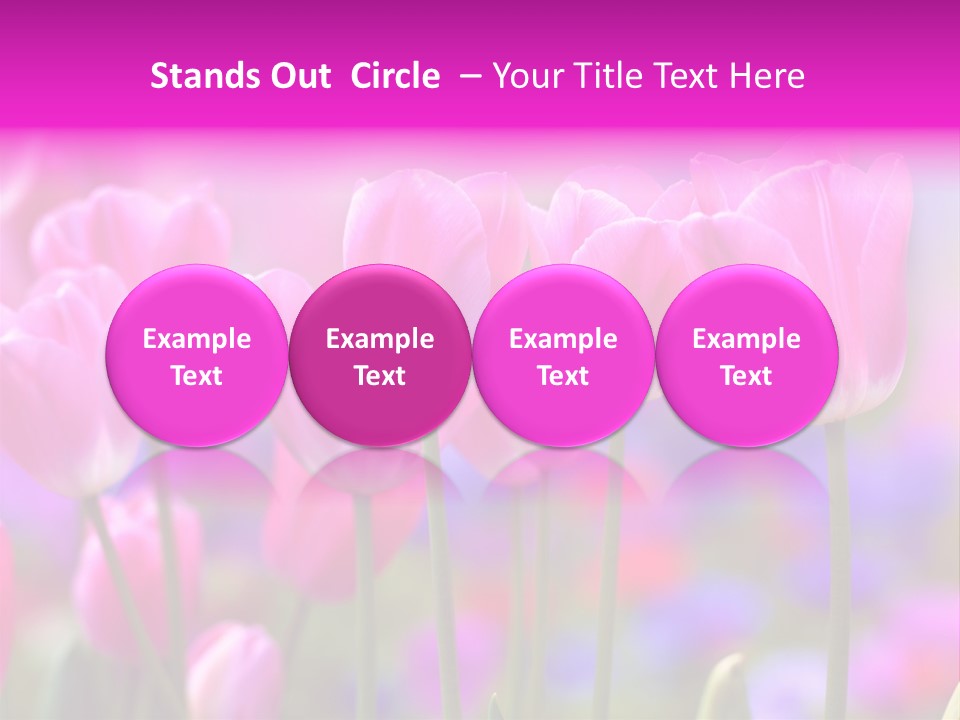 Calla Decoration Flora PowerPoint Template