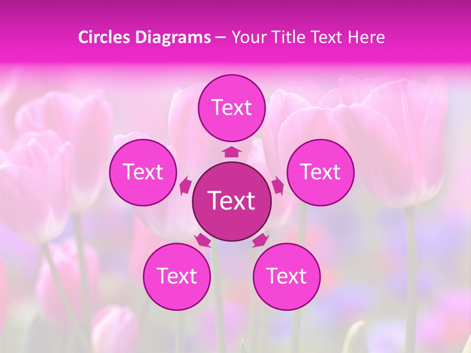 Calla Decoration Flora PowerPoint Template