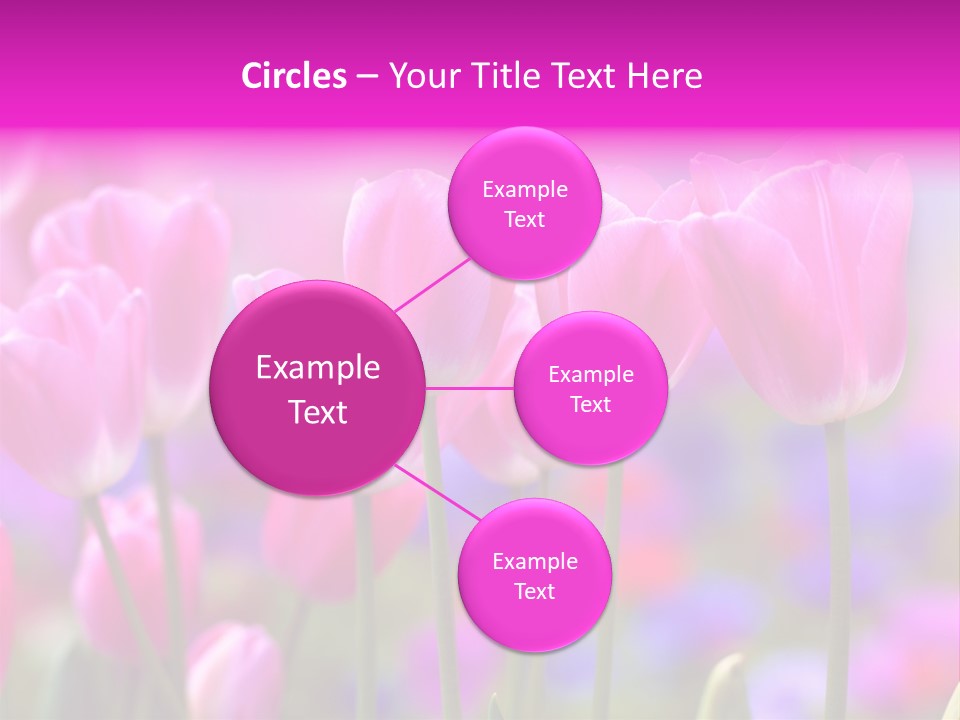 Calla Decoration Flora PowerPoint Template