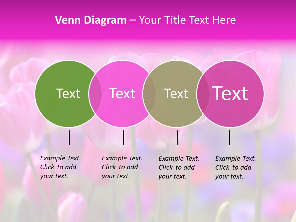Calla Decoration Flora PowerPoint Template