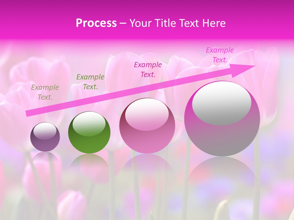 Calla Decoration Flora PowerPoint Template