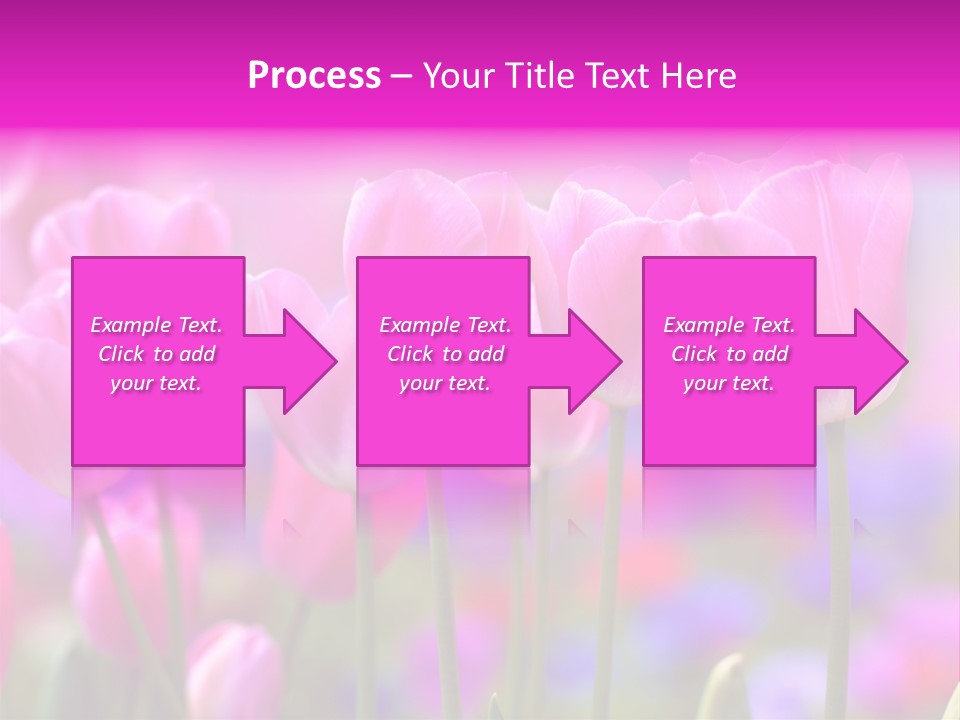 Calla Decoration Flora PowerPoint Template