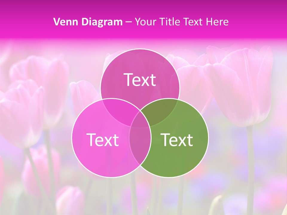 Calla Decoration Flora PowerPoint Template