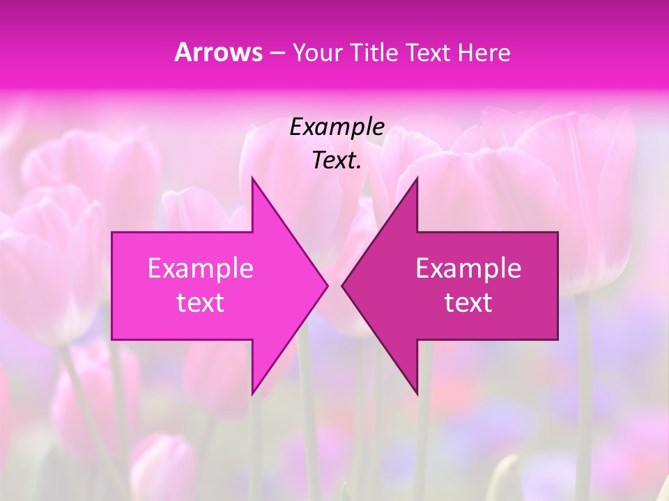 Calla Decoration Flora PowerPoint Template
