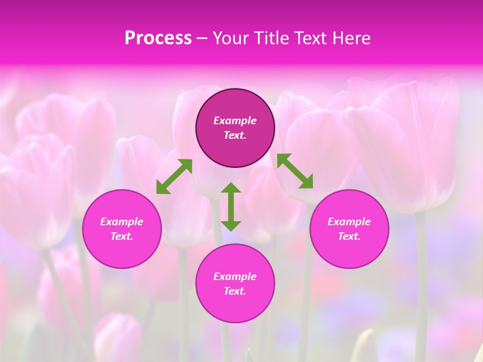 Calla Decoration Flora PowerPoint Template