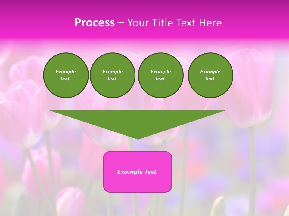 Calla Decoration Flora PowerPoint Template