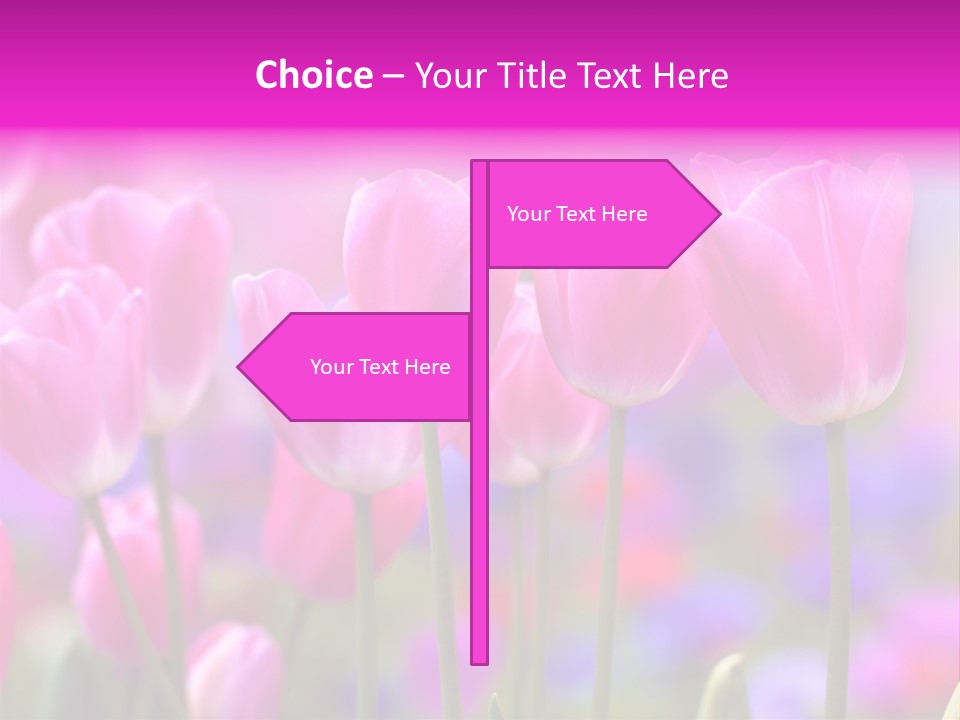 Calla Decoration Flora PowerPoint Template
